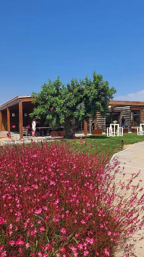 Finca La Suerte Grande Telde Spain