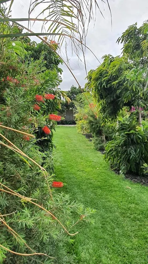 Finca La Suerte Grande Telde
